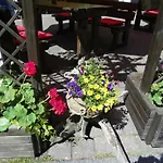 Pension Heideperle